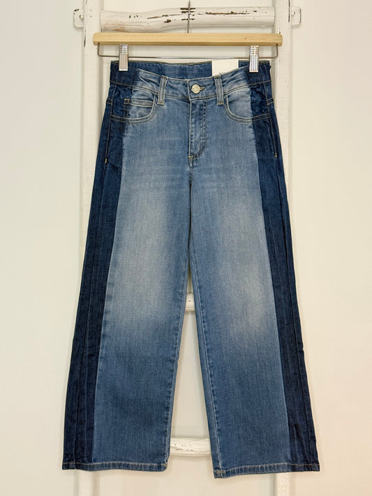 Two Tone Denim Pants