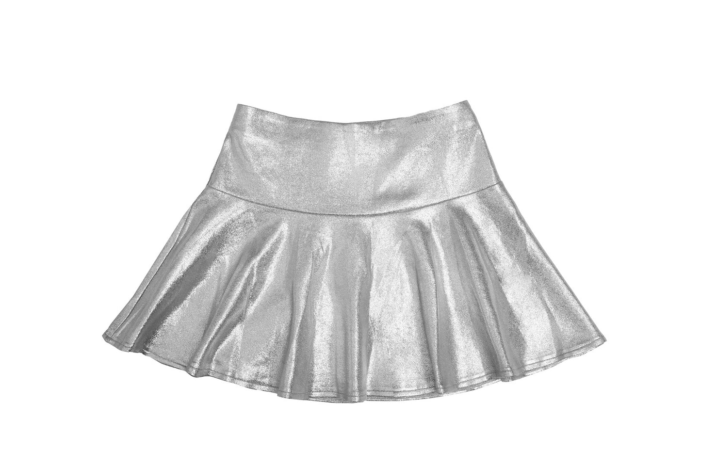 Silver Skirt