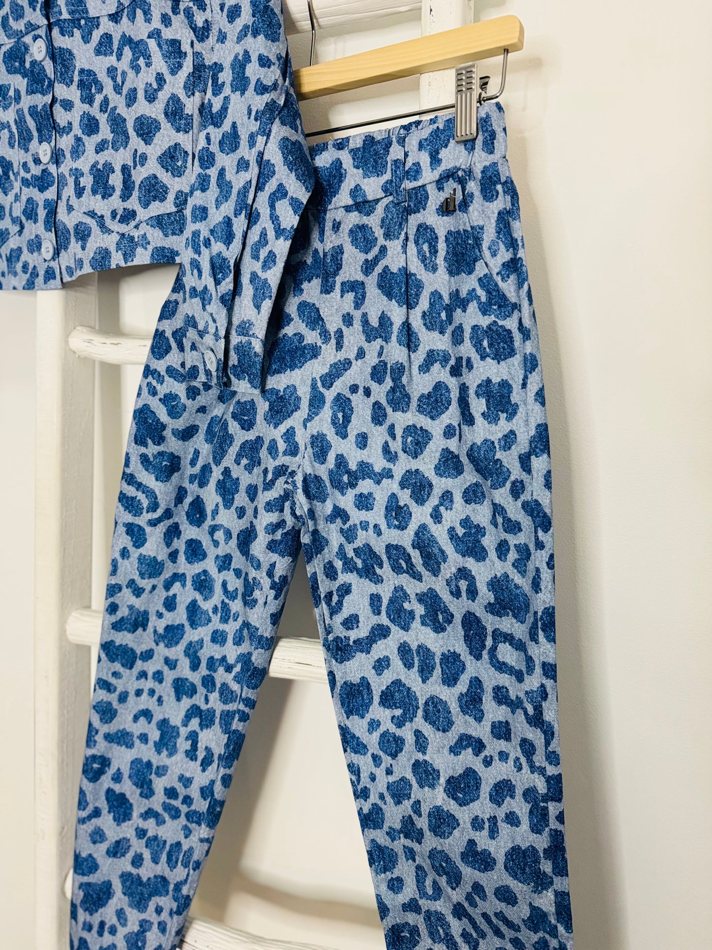 Animal Print Jean Set